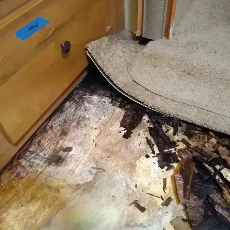 Best Wood Floor Water Damage Service in Inyokern, CA